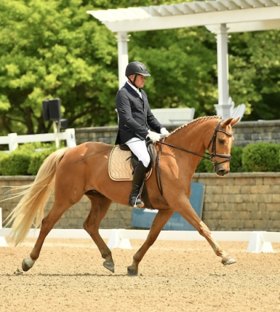 HorseID: 2228997 Devante LDS - PhotoID: 1067111