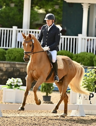 HorseID: 2228997 Devante LDS - PhotoID: 1067112