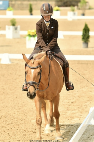 HorseID: 2228997 Devante LDS - PhotoID: 1067115