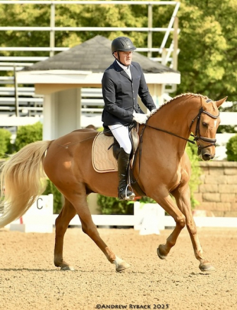 HorseID: 2228997 Devante LDS - PhotoID: 1067116