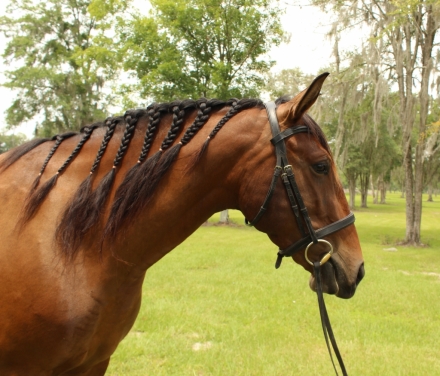 Cowgirl hairstyles | The Horse Forum