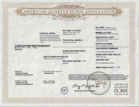 HorseID: 2245383 ChexOutMyWhiteKnight - PhotoID: 1089431