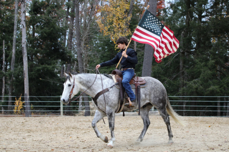 HorseID: 2246616 CEE HEART SALTY MOON - PhotoID: 1048804