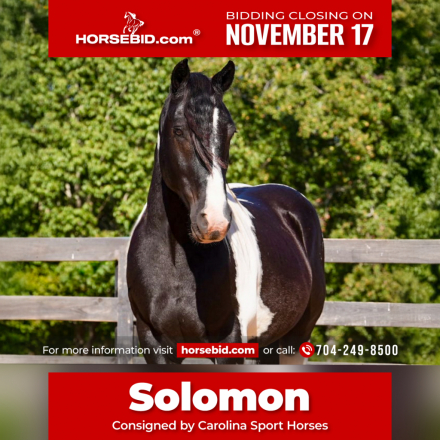 HorseID: 2246726 Jesse James - PhotoID: 1045893