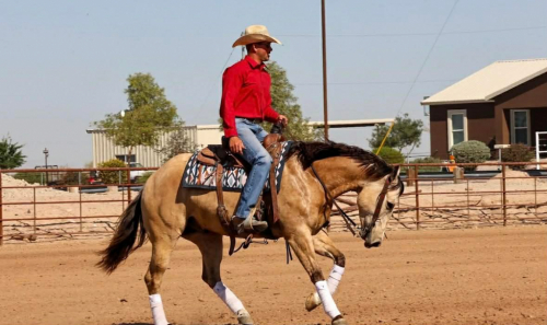 HorseID: 2246739 Bubbles - PhotoID: 1045905