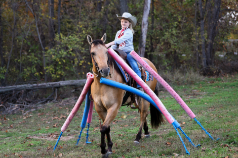 HorseID: 2246741 Dakota Snow Four You - PhotoID: 1028749