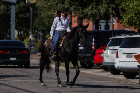 HorseID: 2247455 Deets - PhotoID: 1045892