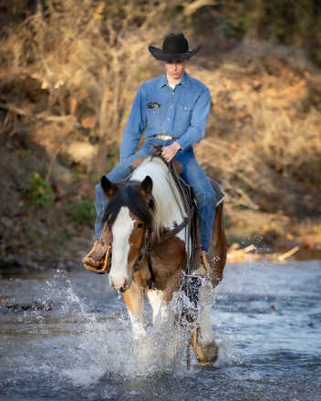 HorseID: 2249908 Clayton - PhotoID: 1077838