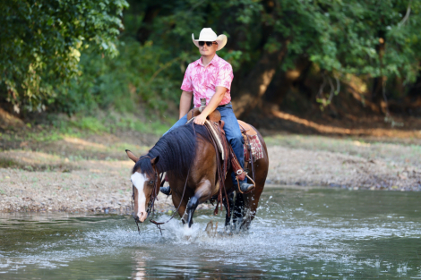 HorseID: 2253894 HA Mobster Chica - PhotoID: 1042231