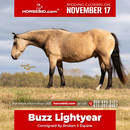 HorseID: 2260686 Buzz Lightyear - PhotoID: 1045900