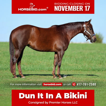 HorseID: 2260687 Dun It In A Bikini - PhotoID: 1036982