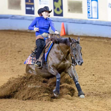 HorseID: 2260687 Dun It In A Bikini - PhotoID: 1045920