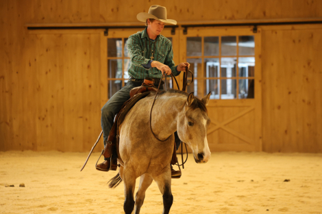 HorseID: 2260688 Boone - PhotoID: 1042242