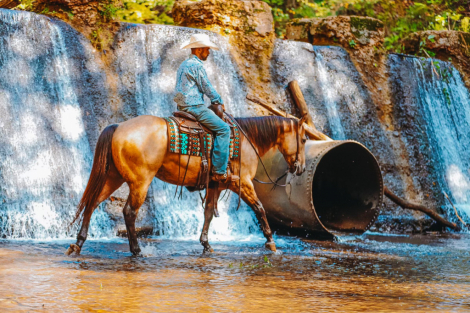 HorseID: 2261708 Flinging Lemons - PhotoID: 1062973