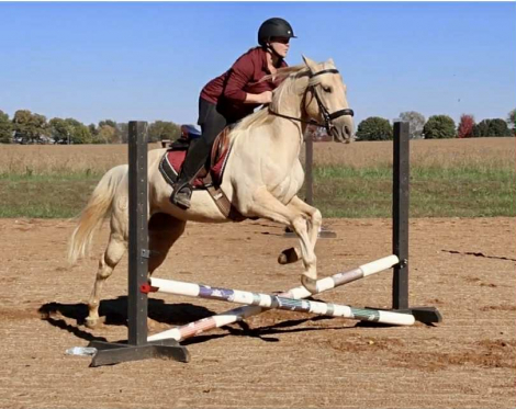 HorseID: 2262623 Milo - PhotoID: 1036988