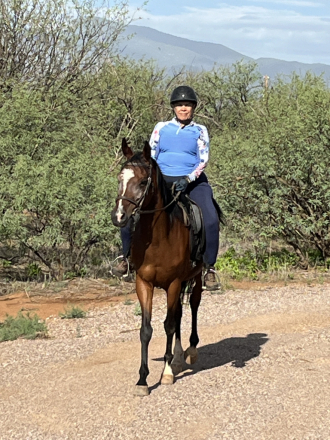 HorseID: 2275100 AMF Turn Signal - PhotoID: 1088156