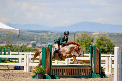 HorseID: 2275253 SPH Surprise Party - PhotoID: 1089609