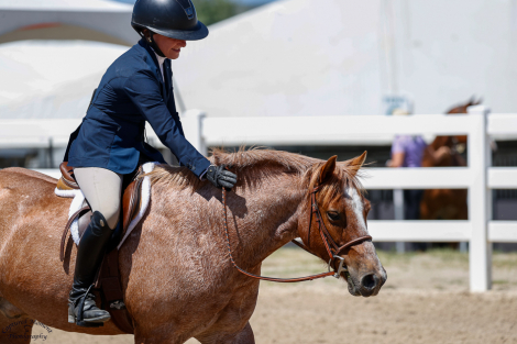 HorseID: 2275253 SPH Surprise Party - PhotoID: 1089610