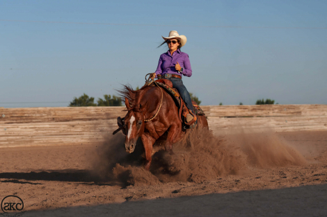 HorseID: 2275754 Whizeus Code - PhotoID: 1048801