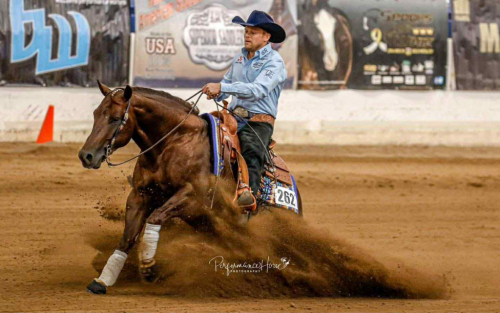 HorseID: 2280895 Good Lil Spook - PhotoID: 1062980