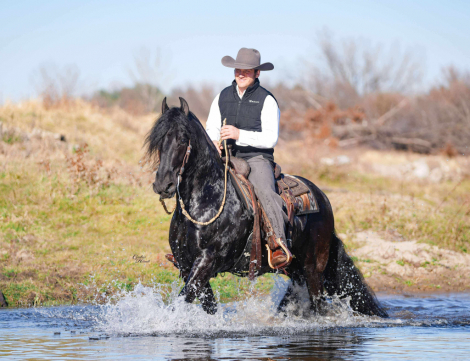 HorseID: 2280899 Snoopy - PhotoID: 1055723