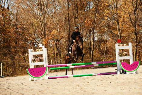 HorseID: 2280904 Jasper - PhotoID: 1055718