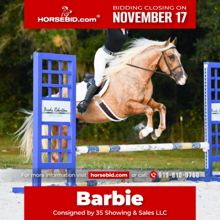 HorseID: 2280905 PEPPYS FOOLISHDANDEE - PhotoID: 1055692