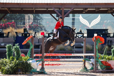 HorseID: 2283024 Prime Time - PhotoID: 1089309