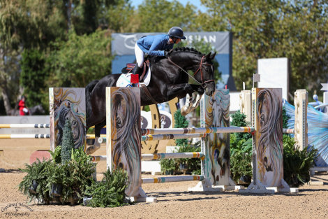 HorseID: 2283024 Prime Time - PhotoID: 1089310