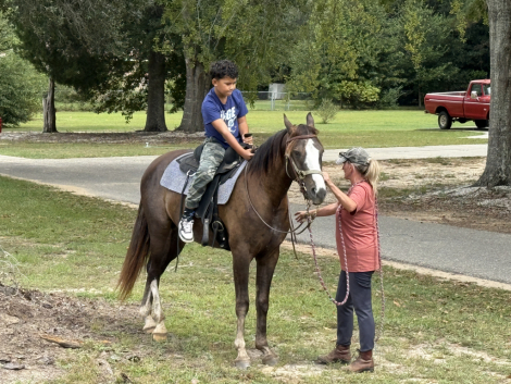 HorseID: 2283441 Hashtag Arrows Elliot - PhotoID: 1088772