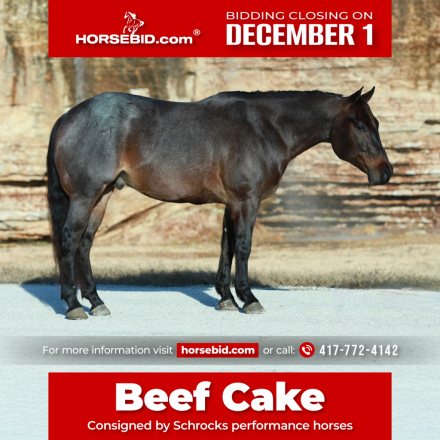 HorseID: 2287439 Jk rowdy Ryan - PhotoID: 1064618