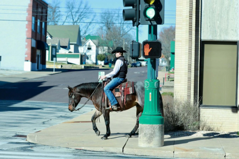 HorseID: 2287439 Jk rowdy Ryan - PhotoID: 1064619