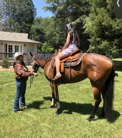 HorseID: 2290529 All Singled Out - PhotoID: 1088912