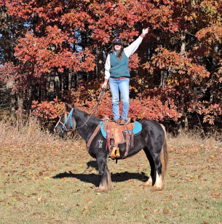 HorseID: 2290634 RHGC DAWN TREADER - PhotoID: 1088993