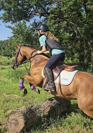 HorseID: 2290722 Cricket - PhotoID: 1088952