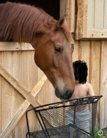 HorseID: 2290727 Hail Jupiter - PhotoID: 1089910