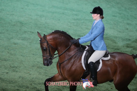 HorseID: 2292166 ROL Fire Ball - PhotoID: 1081266