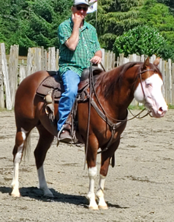 HorseID: 2292430 EPIC TURNIT - PhotoID: 1088611