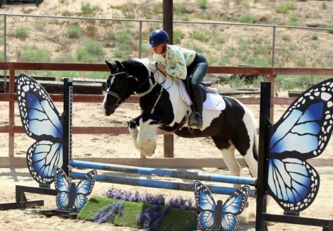 HorseID: 2294424 CFF Livvies Largesse - PhotoID: 1088879