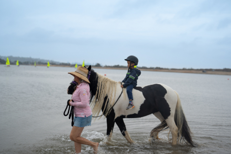 HorseID: 2294424 CFF Livvies Largesse - PhotoID: 1088880