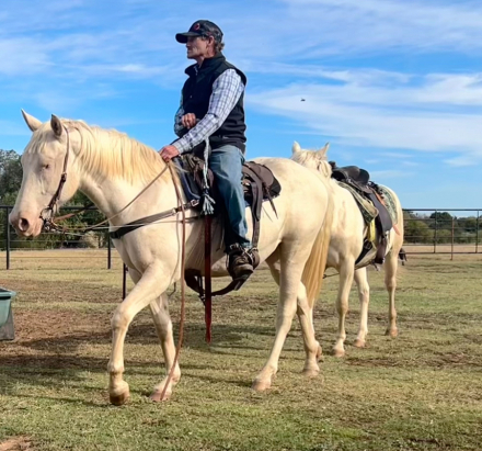 HorseID: 2294983 Whitey Ghost - PhotoID: 1089154