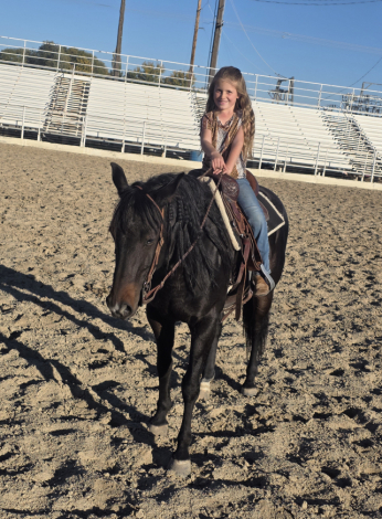 HorseID: 2295480 Drifters - PhotoID: 1076278