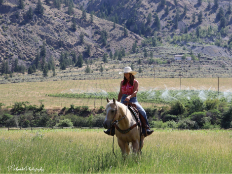 HorseID: 2295552 Guys Gas Time - PhotoID: 1075399