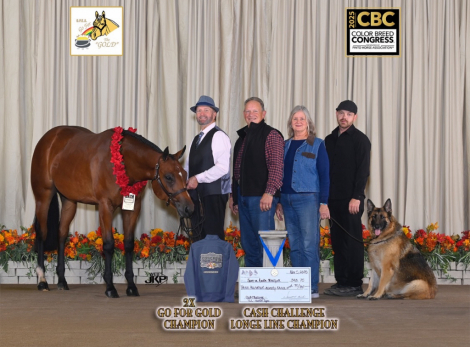 HorseID: 2295610 Saw Minnie Mouse - PhotoID: 1075485