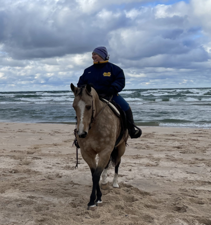 HorseID: 2296718 Suddens Tupelo Honey - PhotoID: 1087898