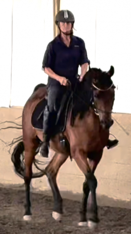 HorseID: 2297483 Balcones - PhotoID: 1089706