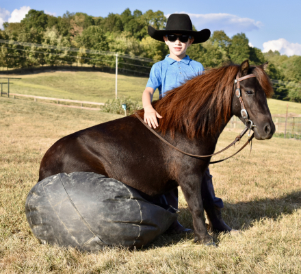 HorseID: 2299224 Hero - PhotoID: 1080309