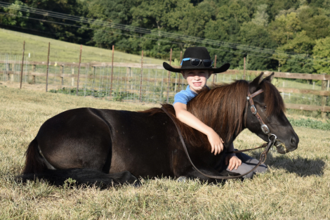 HorseID: 2299224 Hero - PhotoID: 1080310