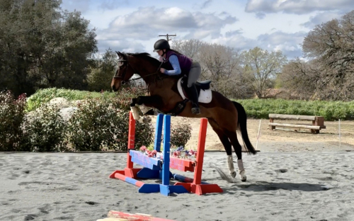 HorseID: 2299478 Luminescence GHR - PhotoID: 1089416