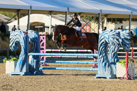 HorseID: 2299605 Olympus - PhotoID: 1081021